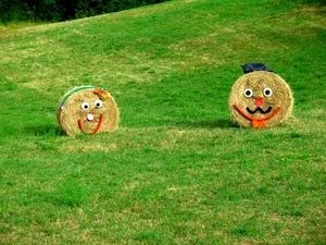 fieno, balle, prato, facce, erba, verde, due, occhi, campagna