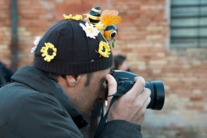 fotografo, ape, fiori, cappello, berretto, macchina, giallo, fotocamera, fotografare, mano