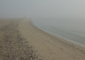 mare, nebbia, sabbia, spiaggia, acqua