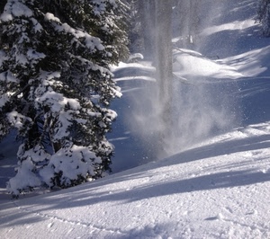 neve, bianco, inverno, albero, montagna, alberi, rami, freddo