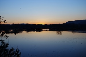 lago, tramonto, riflesso, acqua, cielo, riflessi, alberi, alba, controluce