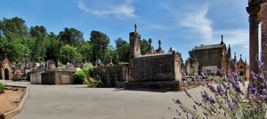 cimitero, tombe, croci, fiori, alberi, lavanda, cappelle