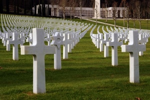 croci, cimitero, bianco, prato, verde, prospettiva, stella, campo, file, erba, camposanto, alberi
