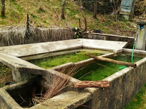 acqua, lavatoio, verde, legno, erba, vasca, fontana, vasche, tubo