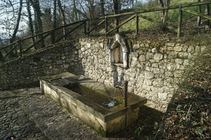 staccionata, alberi, acqua, lavatoio, erba, fontana, verde, pietre, muro, tronchi, fontanella, capitello, vasca, edicola, rami