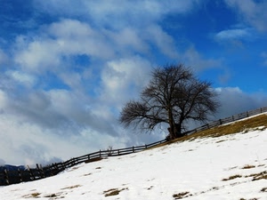 nuvole, albero, neve, staccionata, cielo, bianco, montagna, inverno, recinzione, azzurro, rami