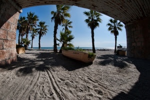 barca, palme, sabbia, mare, spiaggia, ombre, arco, alberi