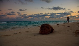 mare, spiaggia, nuvole, sabbia, acqua, uomo, correre, cielo, alba