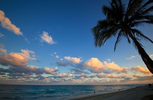 mare, nuvole, palma, spiaggia, acqua, cielo, tramonto