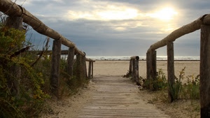 mare, spiaggia, sabbia, cielo, staccionata, nuvole, legno, acqua, erba, onde, passerella, prospettiva, piante, sole