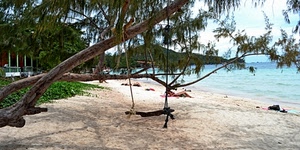 spiaggia, mare, altalena, sabbia, albero, rami, alberi