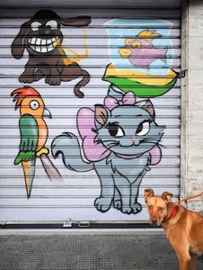 serranda, cane, pappagallo, gatto, animali, pesce, gatta, murales