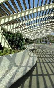 ombre, panchina, piante, panchine, curve, ombra, verde, tettoia, geometrie, linee, bianco, architettura