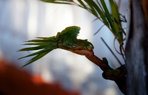 verde, foglie, ramo, palma, pianta, tronco, sfocato, macro, piante