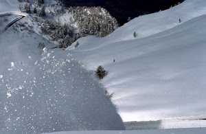 neve, bianco, alberi, inverno, montagna, bosco