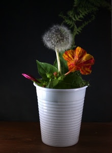 foglie, fiori, bianco, vaso, bicchiere, verde, nero, soffione, fiore, arancione, rosso, giallo, plastica, palla, viola, composizione