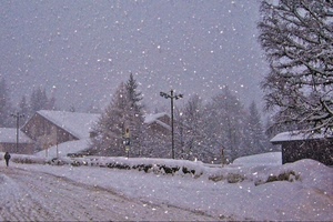 neve, alberi, strada, fiocchi, lampioni, lampione, case, persona, paesaggio, nevicata, bianco, inverno, pini, casa, tetti