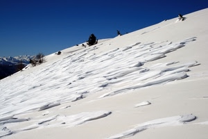 neve, montagna, bianco, inverno, cielo, alberi, pendio, discesa, azzurro, albero