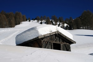 alberi, neve, legno, bianco, inverno, baita, cielo, montagna, tetto, porta, blu, casa, verde, fienile, azzurro, cascina