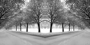 neve, alberi, rami, bianco, strada, inverno, strade, tronchi, bianconero, riflesso, prospettiva