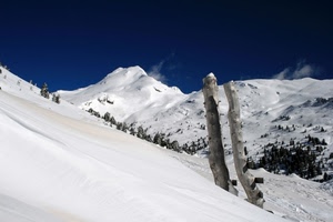 neve, montagna, bianco, tronchi, inverno, blu, montagne, paesaggio, azzurro