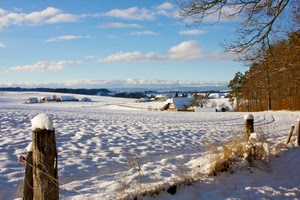 neve, inverno, alberi, pali, nuvole, case, bianco