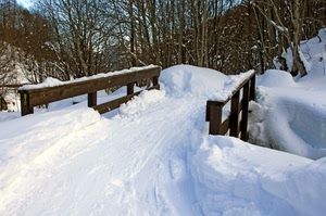 neve, alberi, inverno, ponte, bianco, legno, ponticello