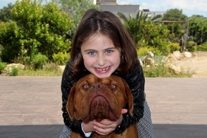 cane, bambina, sorriso, occhi, alberi, animale, abbraccio, azzurri