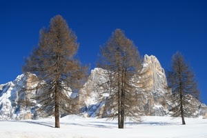 neve, montagne, alberi, inverno, tre, montagna, cielo