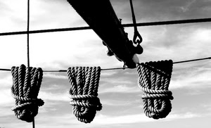 bianconero, corde, tre, nodi, fili, cielo, nuvole, albero, corda