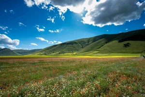 nuvole, fiori, cielo, colline, verde, erba, prato, colori, papaveri, campo, panorama, margherite, rosso, fioritura, pianura, azzurro, campi, giallo, primavera, paesaggio, montagna