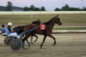 cavalli, tre, cavallo, due, corsa, sport, numero, fantini, ruote, fantino