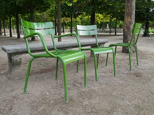 sedie, panchina, verde, parco, alberi, tre, tronchi, foglie