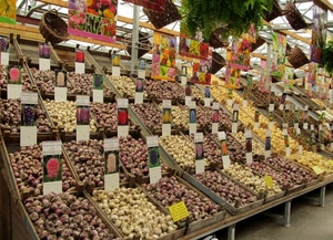 fiori, mercato, cassette, bulbi, banco, etichette, bancarelle, bancarella, colori, ortaggi, cipolle