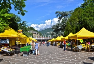 mercato, giallo, alberi, nuvole, cielo, verde, tende, persone, piazza, bancarelle, azzurro, montagne, cassette, verdura, frutta, stand, ombrelloni