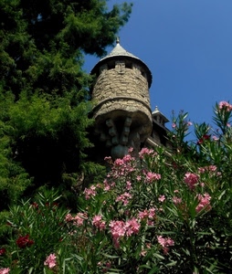 rosa, torre, fiori, albero, oleandri, verde, cielo, castello, oleandro