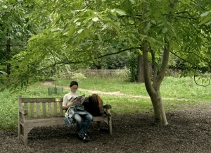 panchina, albero, leggere, verde, alberi, parco, foglie, lettura, zaino, giardino, ragazza, lettrice