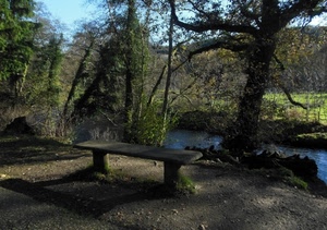 panchina, alberi, fiume, ombra, acqua, verde, canale
