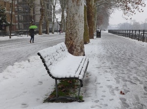 neve, panchina, ombrello, alberi, bianco, passante, inverno, strada, verde, viale