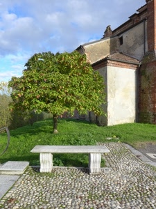 albero, panchina, verde, sassi, nuvole, prato, erba, casa, cielo