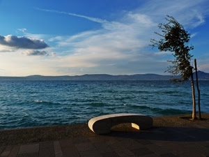 mare, panchina, albero, cielo, nuvole, azzurro, nuvola, vento