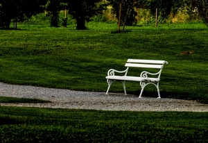 panchina, verde, bianco, prato, parco, erba, alberi, ghiaia