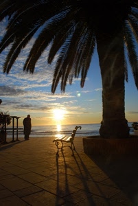 panchina, tramonto, mare, palma, nuvole, albero, sole, persona, uomo, cielo, controluce, ombra, ombre, alba, riflesso
