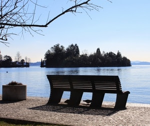 panchina, lago, acqua, ramo, alberi, isola, ombra, cielo, isolotto