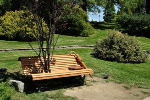 panchina, ombrello, parco, piante, giardino, alberi, borsa, albero, piccione, legno