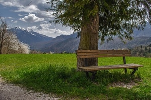 panchina, albero, prato, verde, montagna, montagne, ombra, nuvole, paesaggio