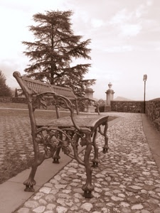 panchina, albero, sassi, lampione, bianconero, ferro, metallo, seppia, cielo, pino, muro, alberi