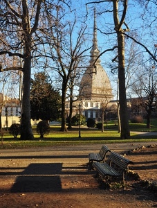 panchine, mole, alberi, parco, torino, cupola, ombra, prato, antonelliana