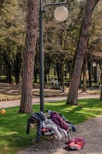 panchina, alberi, parco, lampione, prato, indumenti, vestiti, lampioni, abiti, palla, giubbotti