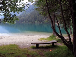 panchina, lago, alberi, acqua, rami, bosco, montagna, verde, riflesso